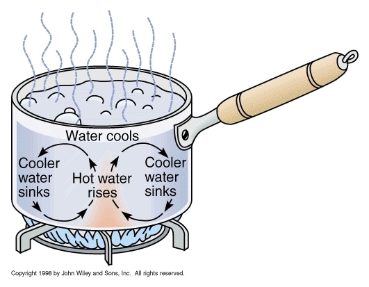 Illustration of convection currents in a pot of water heated on a stove, showing hot water rising and cooler water sinking.