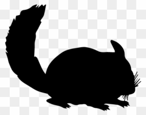 Black silhouette of a chinchilla with bushy tail and whiskers on transparent background.