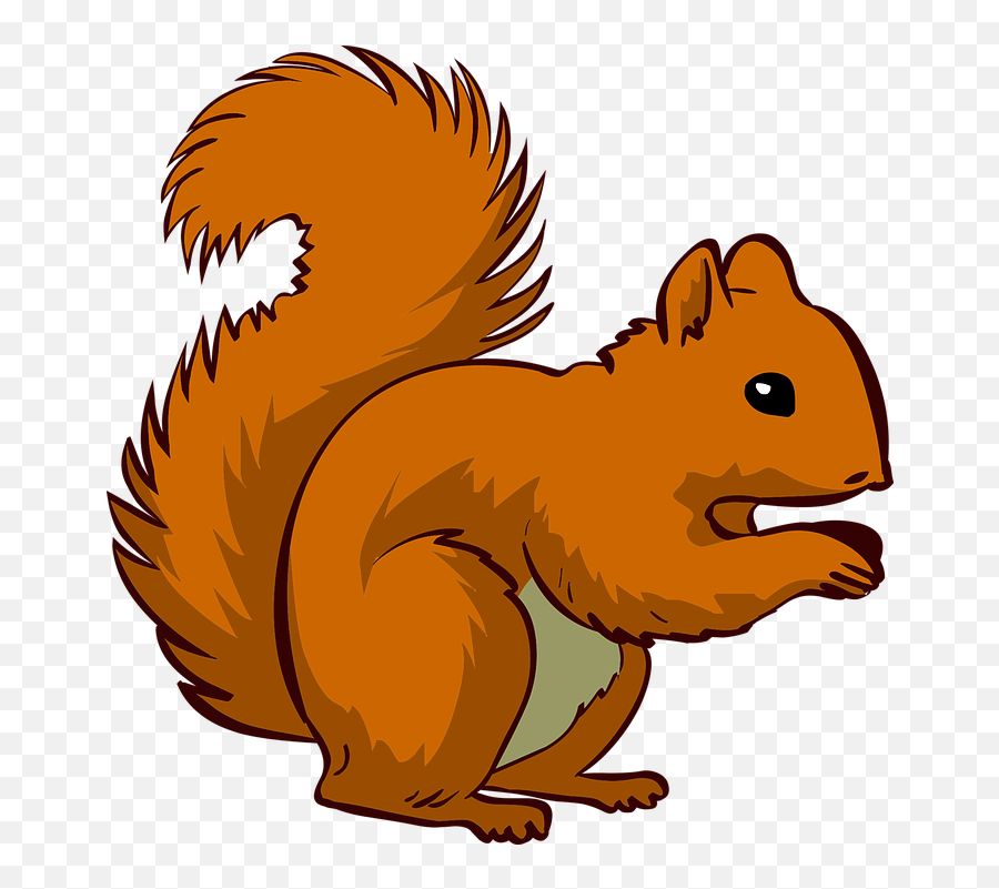 Cartoon red squirrel with bushy tail, holding food in paws, on transparent background.