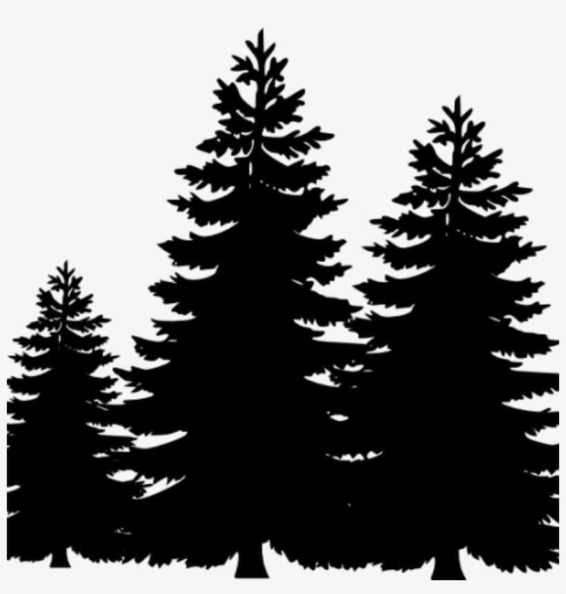 Pine Tree Forest Clip Art Silhouettes Stock Vector - Illustration ...