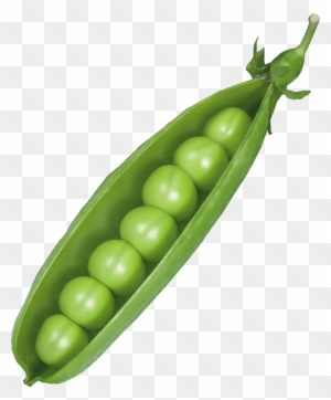 Fresh green pea pod open to reveal six plump, vibrant peas inside, set against a transparent background.