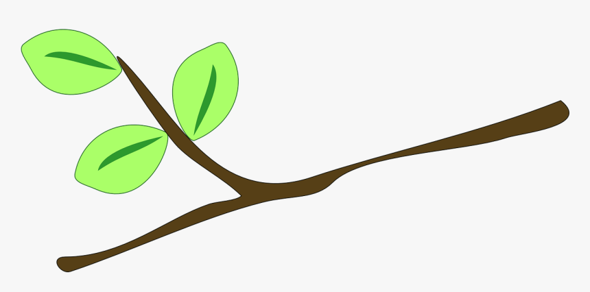 Branch Clip Art Tree Branch Svg Free PNG Image With Transparent - Clip ...