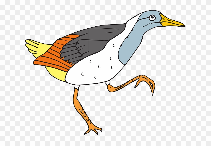 Colorful cartoon bird with blue head, yellow beak, white belly, gray wings, orange legs, and striped tail in mid-stride.