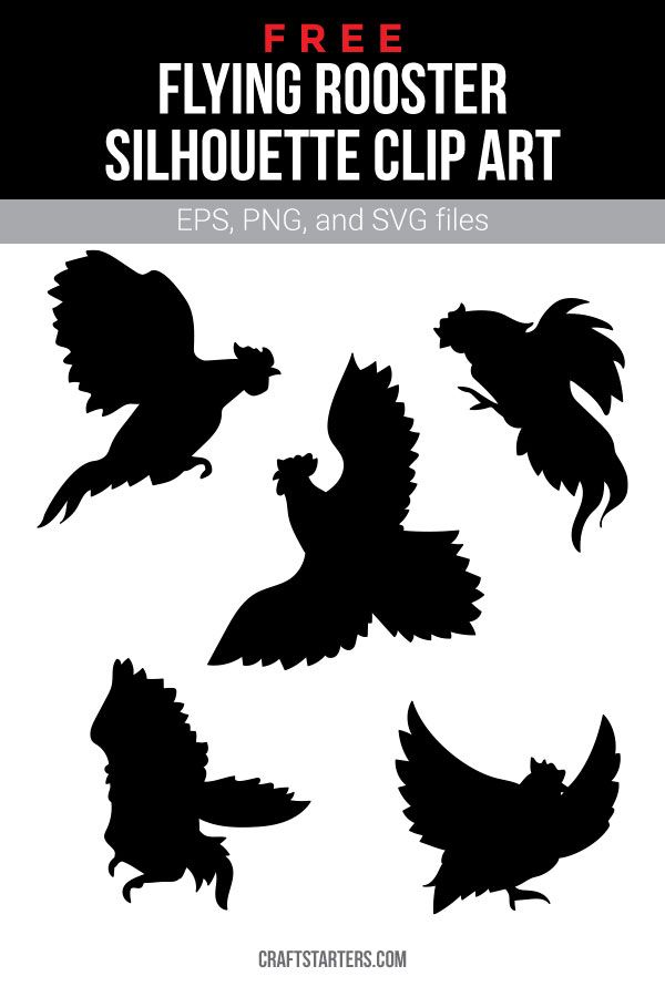 Five black silhouette illustrations of flying roosters in dynamic poses, available as free EPS, PNG, and SVG clip art.
