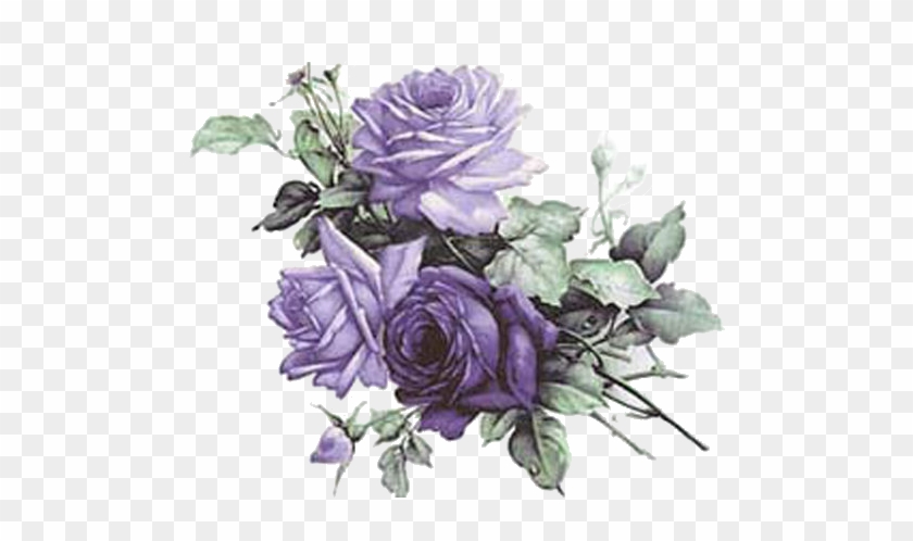 Delicate watercolor illustration of three purple roses with green leaves on transparent background.