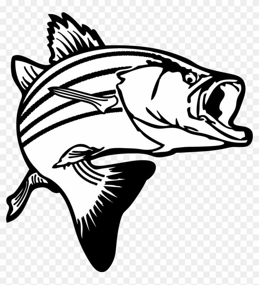 Bass Fishing Largemouth Bass Clip Art Fishing Png Download Clip Art