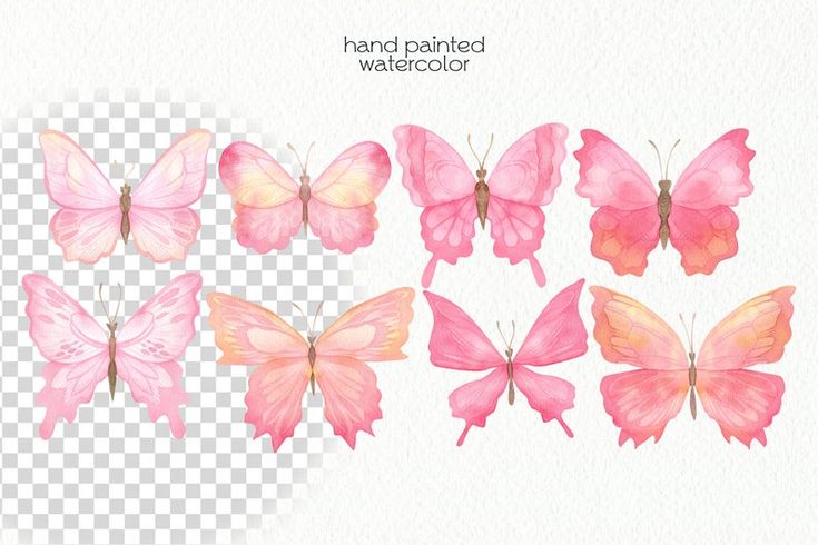 Watercolor Butterfly Clipart - Hand-Painted Pink & Peach Butterflies