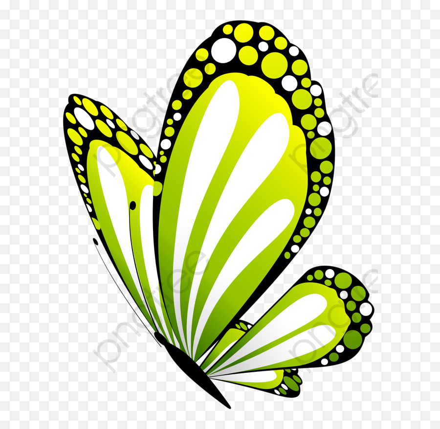 Stylized green and white butterfly with black outlines and dotted wing edges on transparent background.