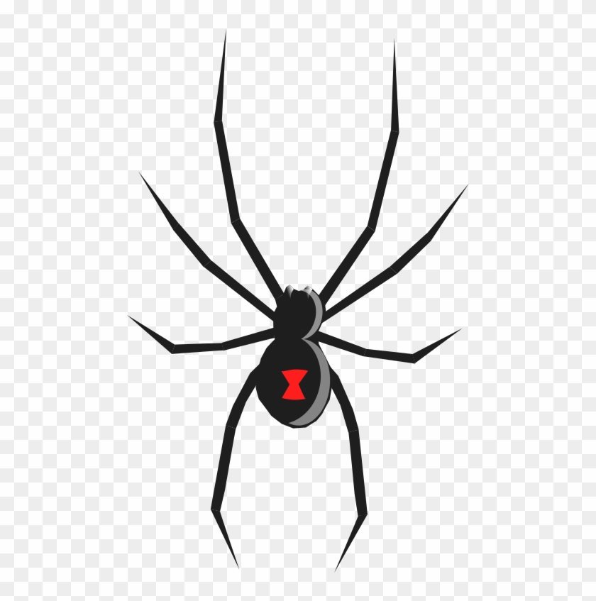 Black Widow Spider Illustration - Free Vector Graphic for Educational & Design Use