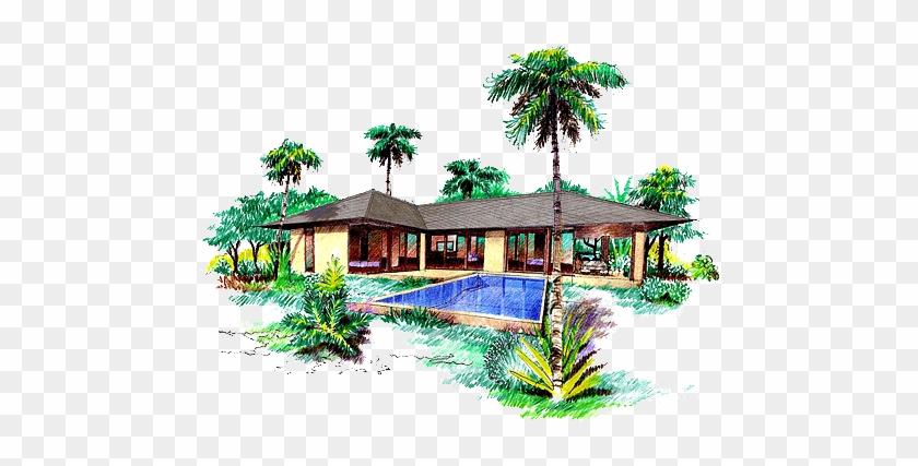 Tropical modern villa with pool, palm trees, and lush landscaping in a hand-drawn architectural illustration.