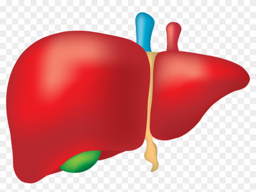 4,800+ Hepatitis Illustrations, Royalty-Free Vector Graphics - Clip Art ...