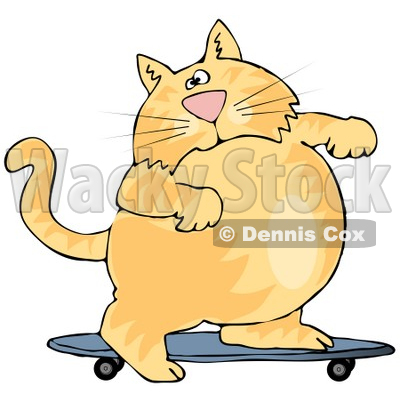 Chubby orange tabby cat riding a skateboard with joyful expression.