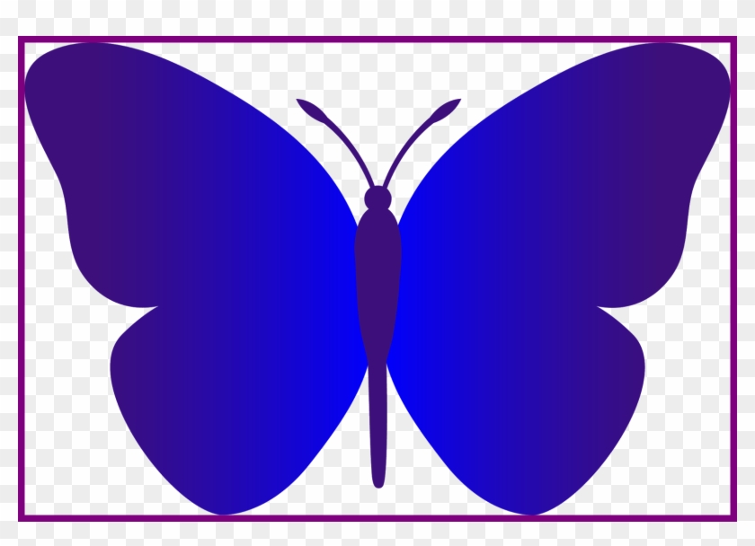 Purple Blue Butterfly Graphic - Free Download & Usage