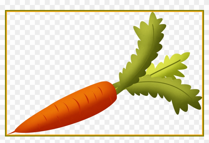 Carrot Illustration - Fresh Vegetable Clipart for Health & Cooking Content