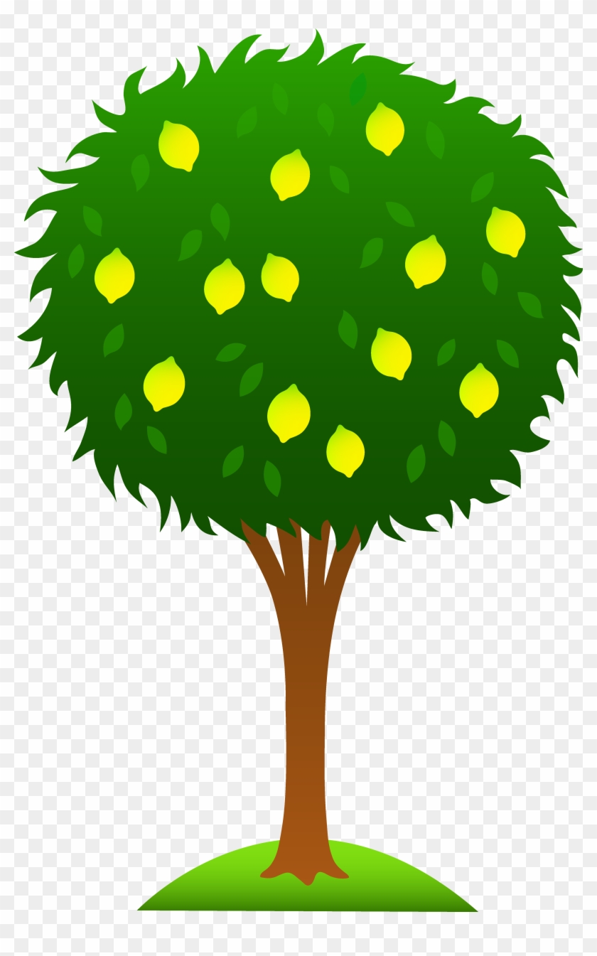 Lemon Tree. Vector Illustration. Fruit Tree Plant. Flat Vector - Clip ...