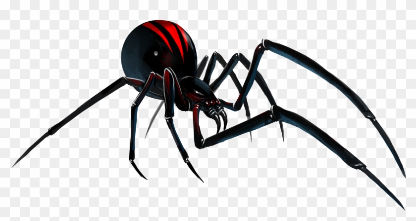 Black Widow Spider Illustration - Detailed Artwork for Educational & Design Use