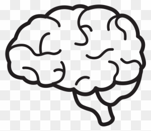 Simple black-and-white line drawing of a human brain with visible gyri and sulci on transparent background.