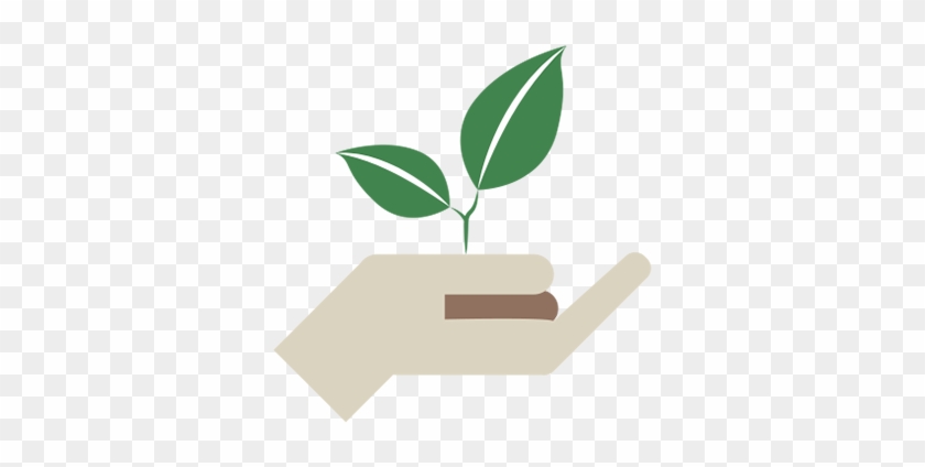 A hand gently holding a small green sprout with two leaves, symbolizing care, growth, and sustainability.