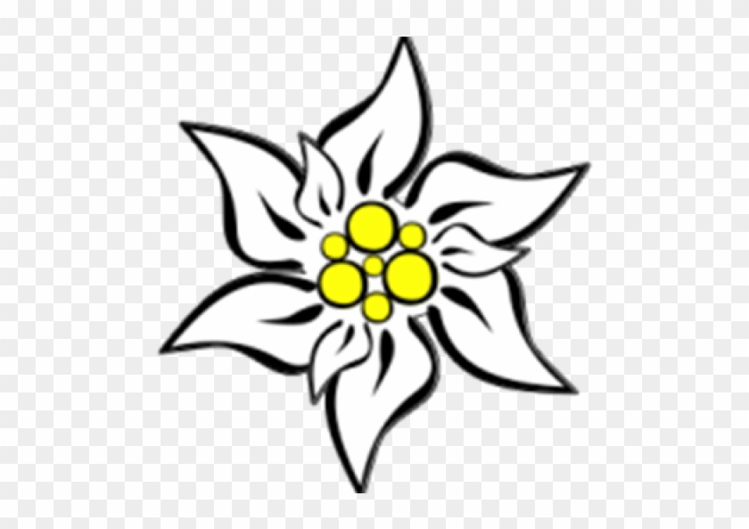 Edelweiss Clipart Etc