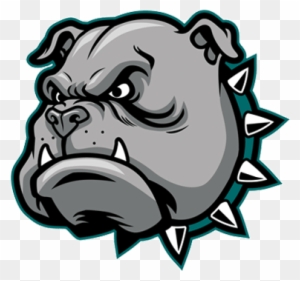 Aggressive gray bulldog mascot head with spiked collar, stylized cartoon illustration.