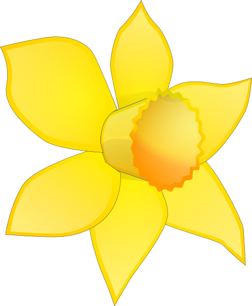 Bright yellow daffodil with six petals and a ruffled orange-yellow trumpet, illustrated on transparent background.