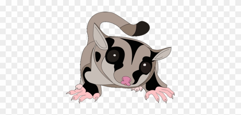 Sugar Glider Illustration - Cute Marsupial Art for Wildlife Enthusiasts