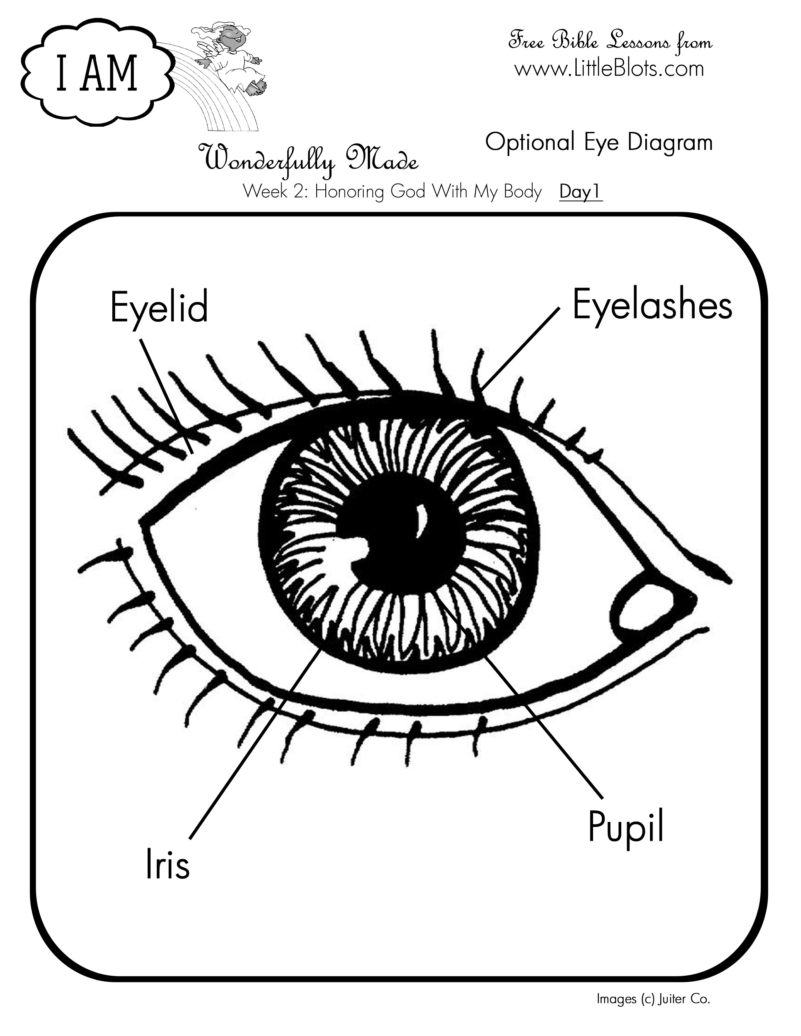 Labeled black-and-white diagram of a human eye showing eyelid, eyelashes, iris, and pupil for educational Bible lesson.