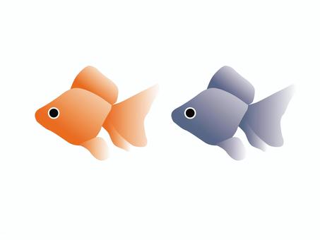Two stylized cartoon fish-one orange, one blue-facing left on a white background.