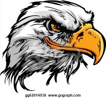 Fierce bald eagle head illustration with sharp yellow beak and intense orange eyes, stylized black-and-white feather detail.