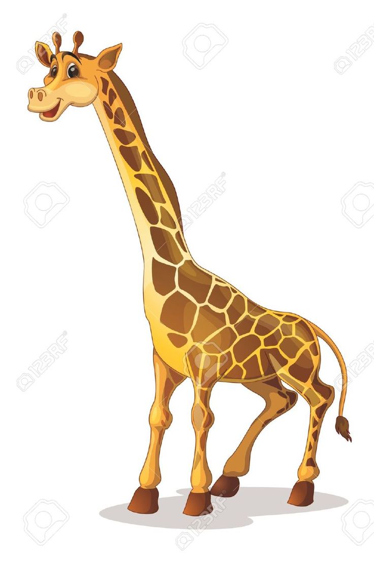 Friendly cartoon giraffe standing tall with a smiling face and brown spotted pattern on a white background.