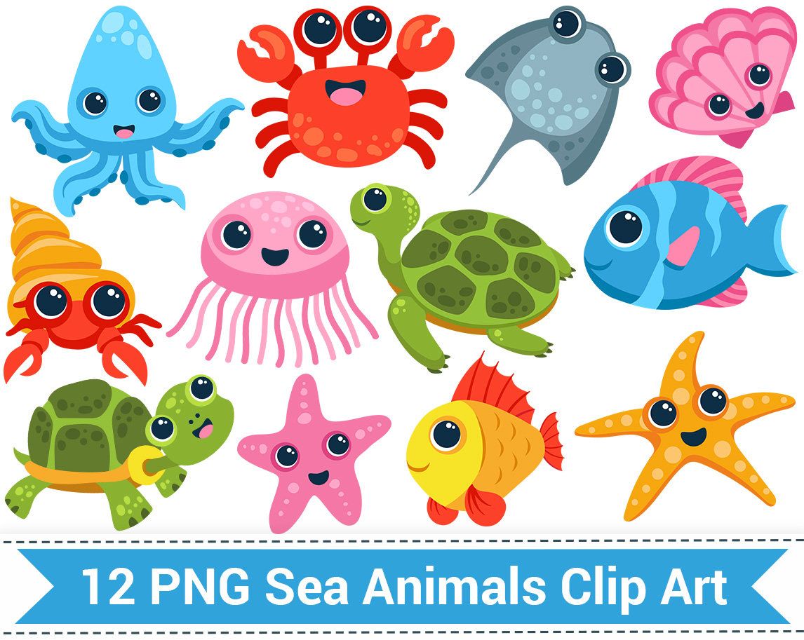 12 colorful cartoon sea animals including octopus, crab, jellyfish, turtle, fish, starfish, stingray, and seashell in PNG clip art format.