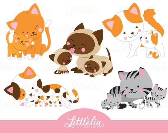 Cute cartoon cat families in various breeds and colors-orange, Siamese, calico, gray tabby-hugging and playing together.