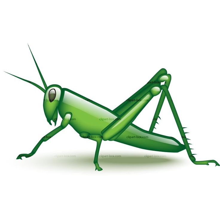 Bright green cartoon grasshopper with large eyes and spiky legs, posed in side profile on white background.