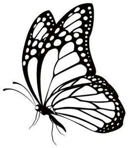 Black and white line-art butterfly with detailed wing patterns and delicate antennae.