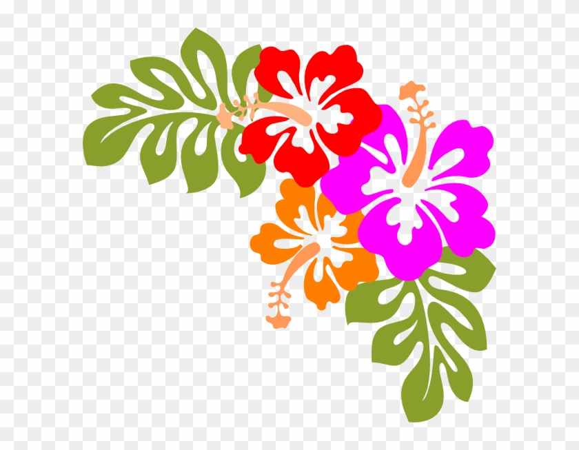 Vibrant tropical hibiscus flowers in red, pink, and orange with green monstera leaves on transparent background.