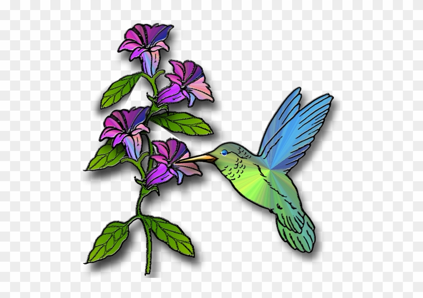 A colorful hummingbird with iridescent green and blue feathers feeds from vibrant purple-pink flowers on a leafy stem.
