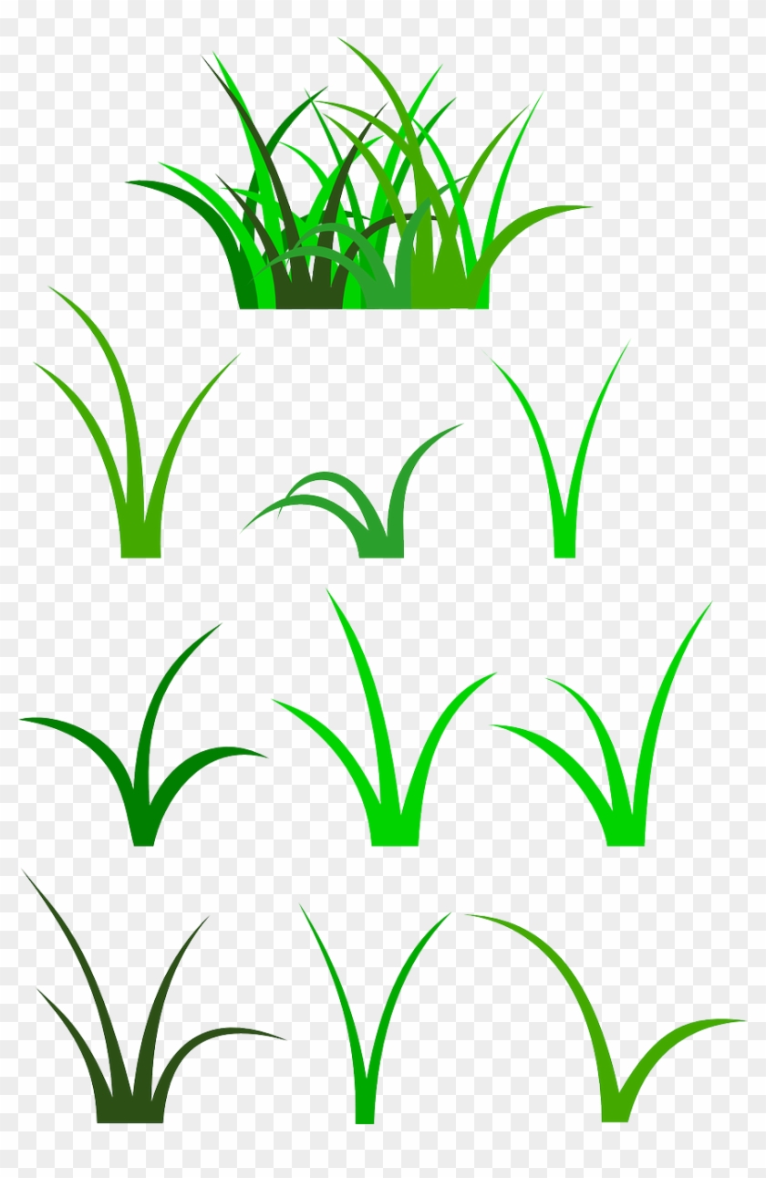 Green grass clipart set with various blade styles and clusters on transparent background.