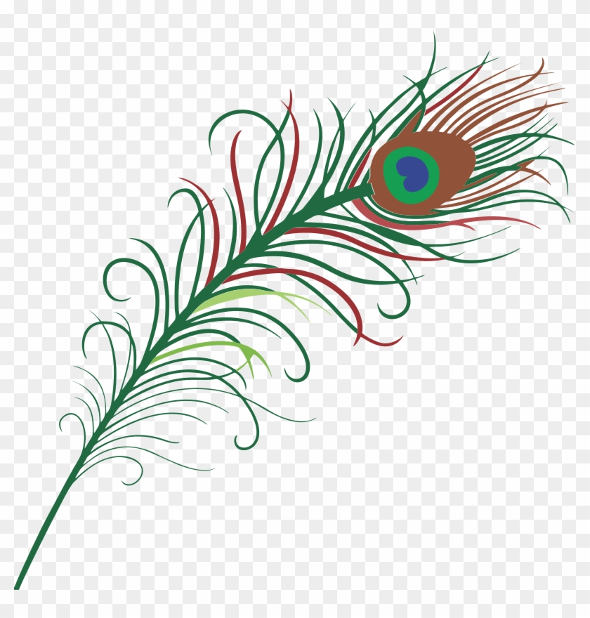 Stylized peacock feather with green, red, and brown barbs and an eye-shaped ocellus in blue, green, and brown.