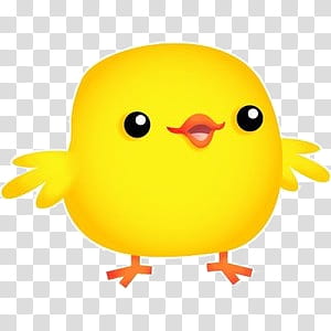 Cute yellow cartoon chick with big eyes, orange beak and feet, transparent background.
