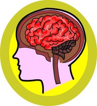 Illustration of a human head in profile with a visible red brain inside, set against a yellow circular background.