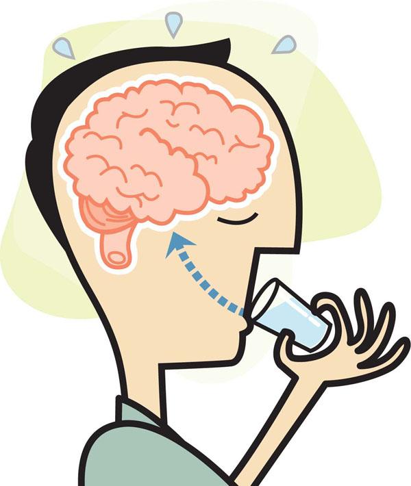 Person drinking water with brain visible and hydration arrow showing fluid reaching the brain, illustrating cognitive benefits of hydration.