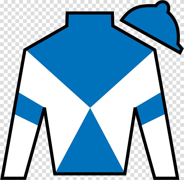 Blue and white jockey silks with diagonal cross pattern and matching cap.