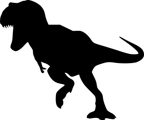 Blank black image placeholder with no visible content.