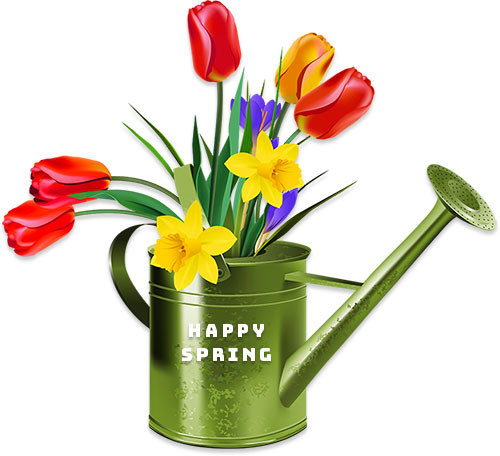 Green watering can filled with colorful spring flowers-tulips, daffodils, and irises-with "Happy Spring" text.