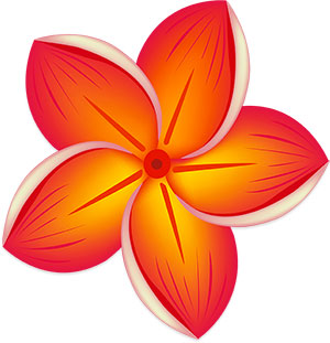 Stylized Red-Orange Flower Illustration | Free Vector Graphic