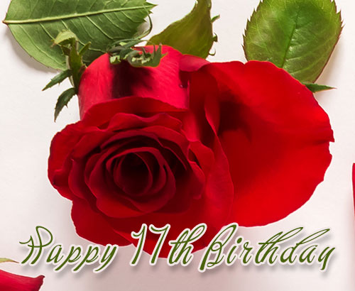 Happy 11th Birthday - Elegant Red Rose Greeting Card Image