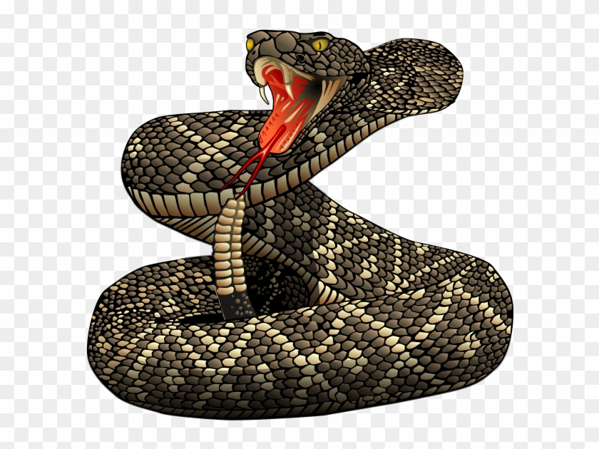 Coiled rattlesnake with open mouth, fangs, and forked tongue on transparent background.