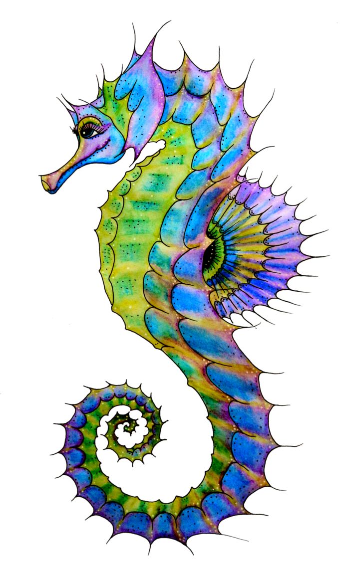 Colorful Seahorse Art - Fantasy Marine Illustration for Print & Design