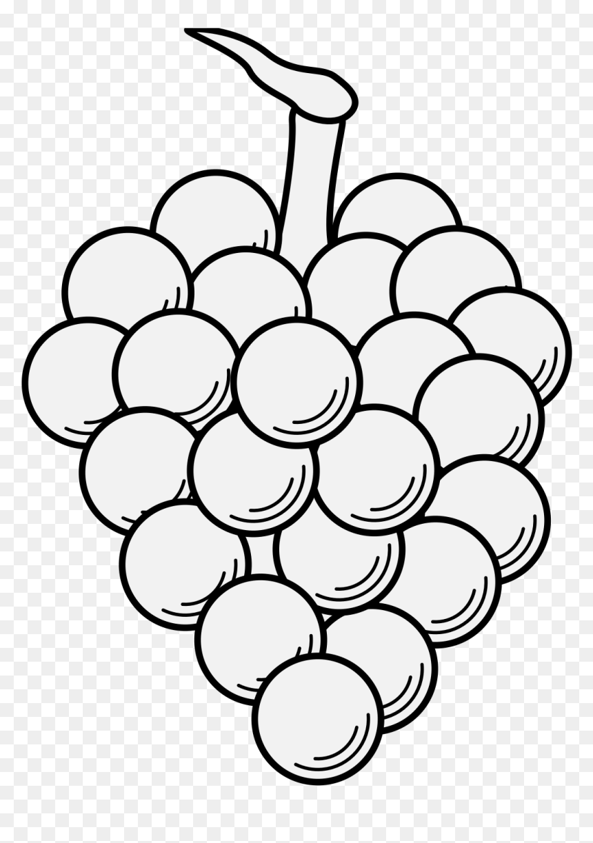 Black-and-white line drawing of a grape cluster with stem, suitable for coloring or educational use.