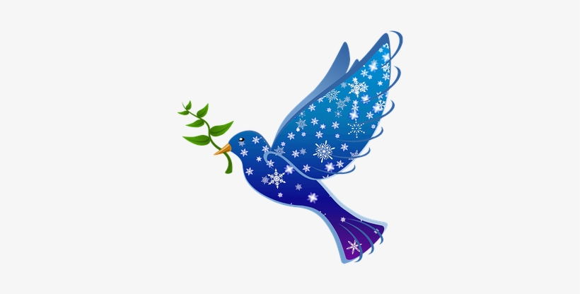 Peaceful Winter Dove with Olive Branch - Symbol of Hope and Harmony